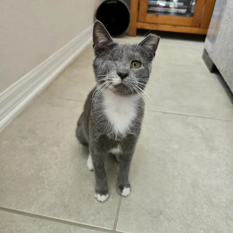 Claudia Jean thumbnail 3