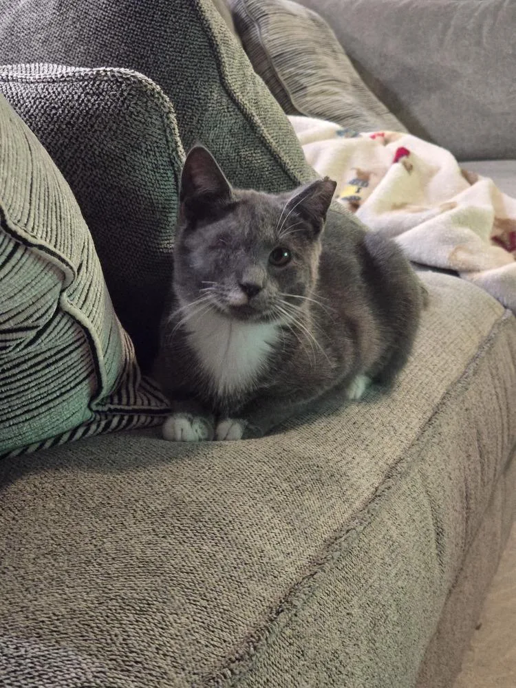 Claudia Jean thumbnail 4