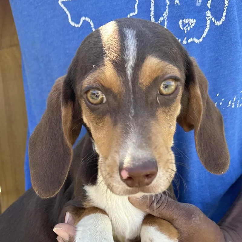 Max  Local April thumbnail 2