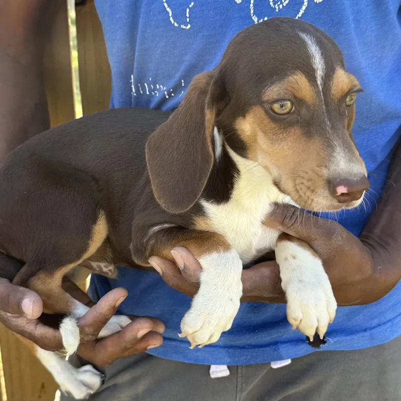 Max  Local April thumbnail 3