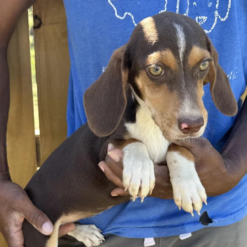 Max  Local April thumbnail 4