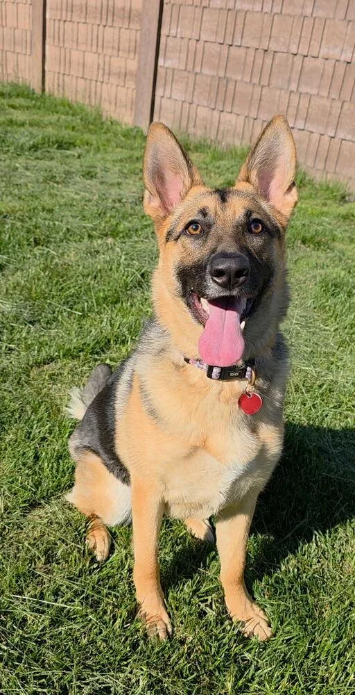Bonnie