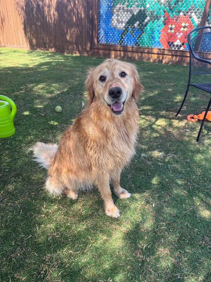 Lucy