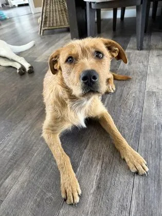 Charlie