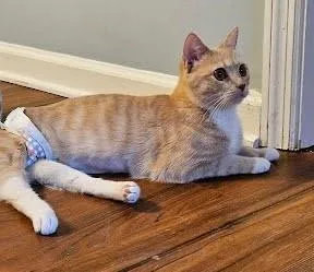 Reesie  `a Priority thumbnail 3