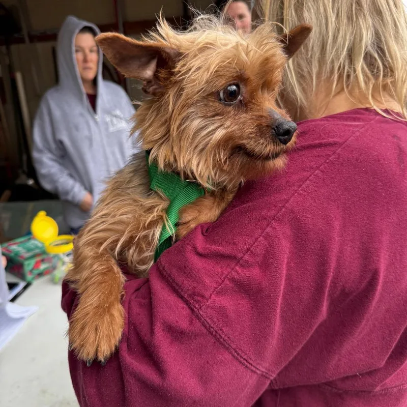 Felicity thumbnail 2