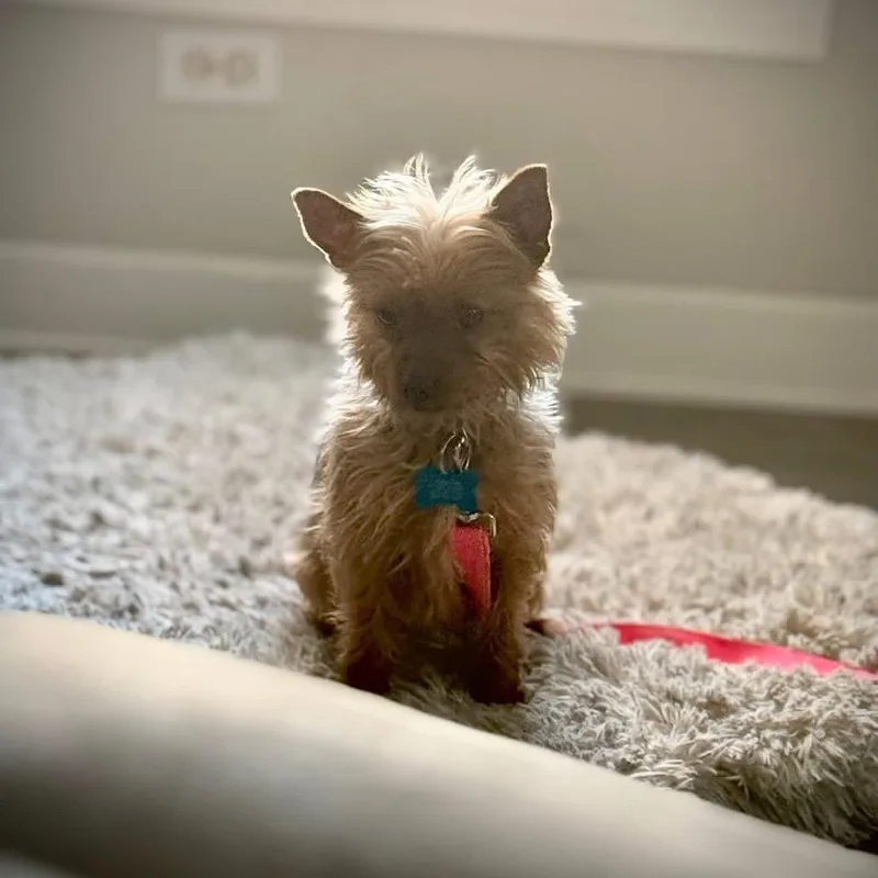 Felicity thumbnail 3