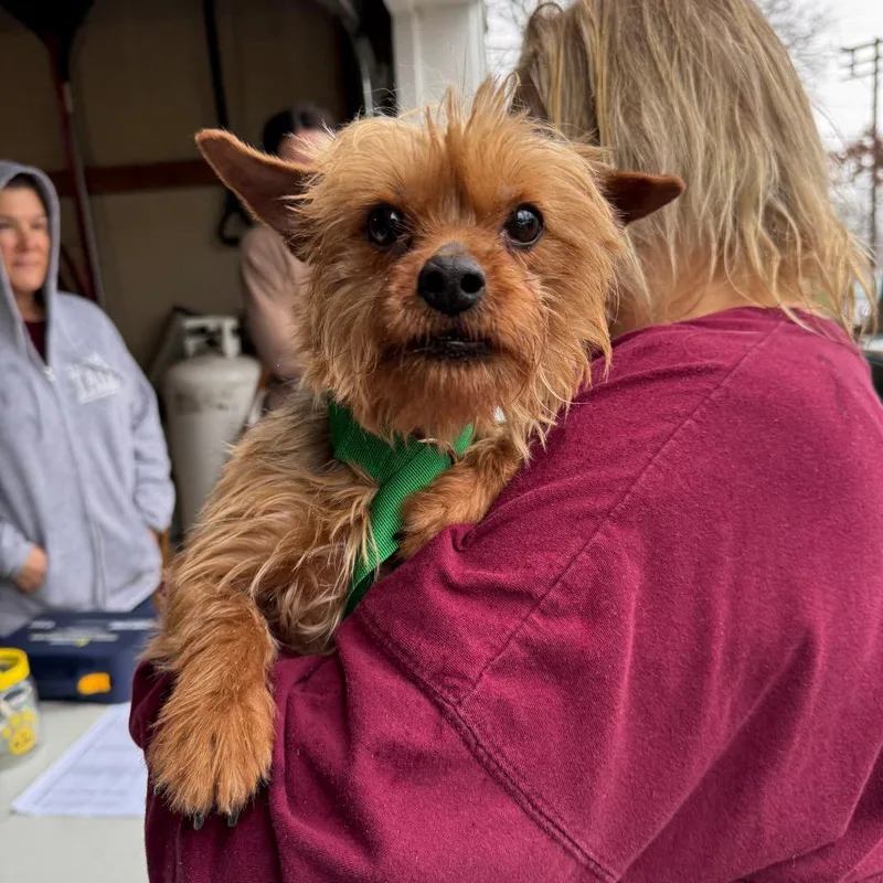 Felicity thumbnail 6