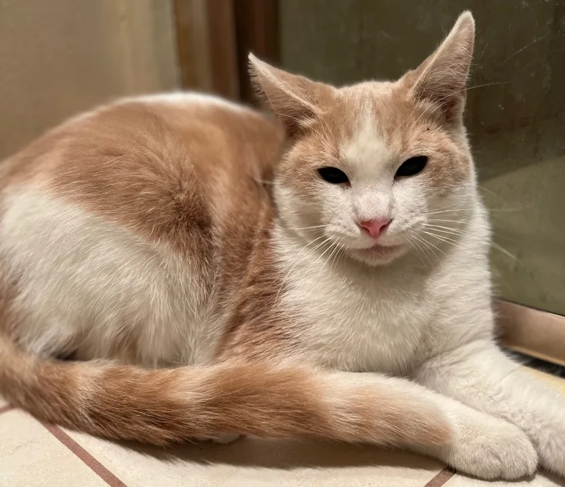 Momma And Son thumbnail 2