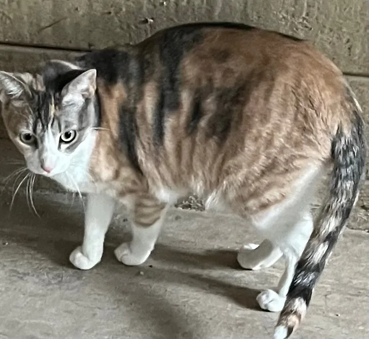 Momma And Son thumbnail 4