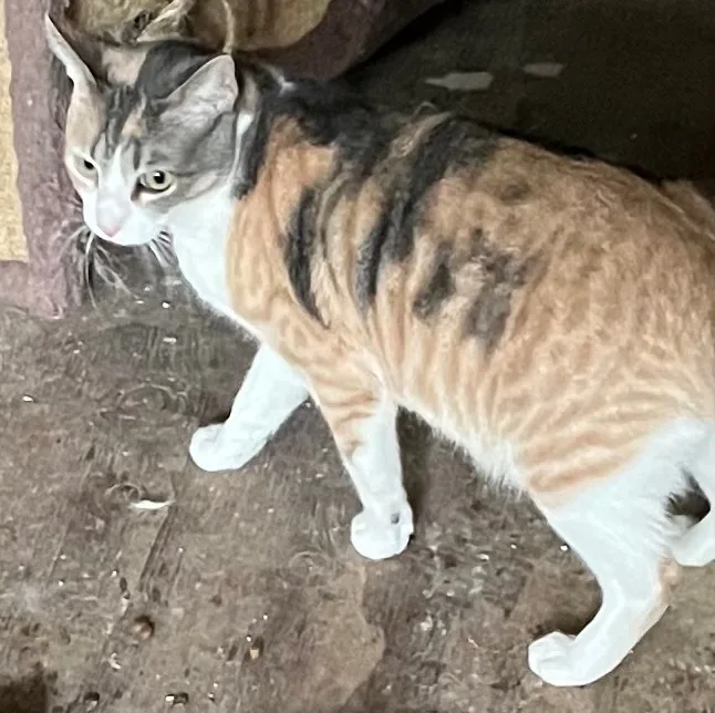 Momma And Son thumbnail 5