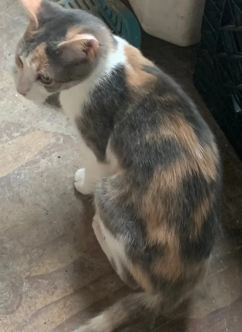 Momma And Son thumbnail 6