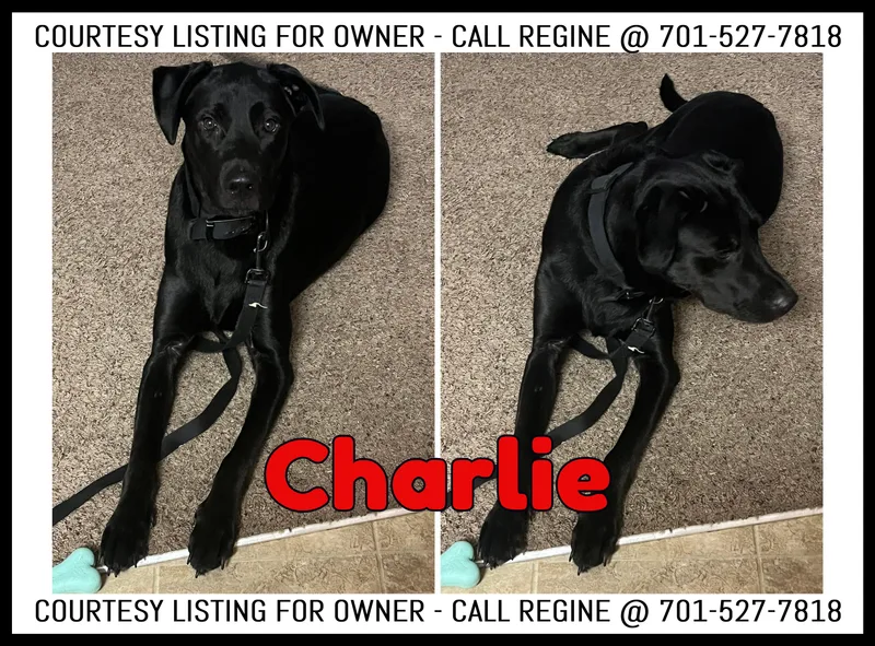 Charlie COURTESY LISTING