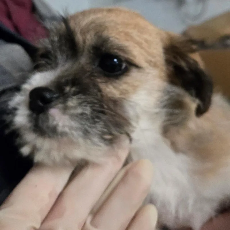 Terry thumbnail 2