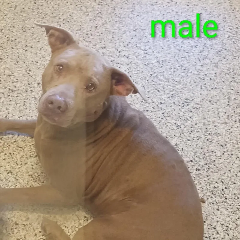Sam