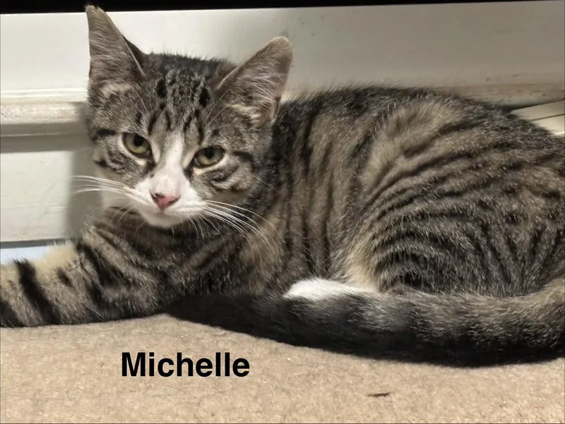 Michelle thumbnail 3