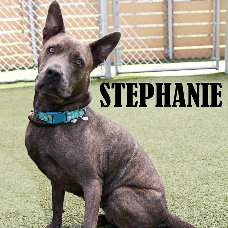 Stephanie thumbnail 2