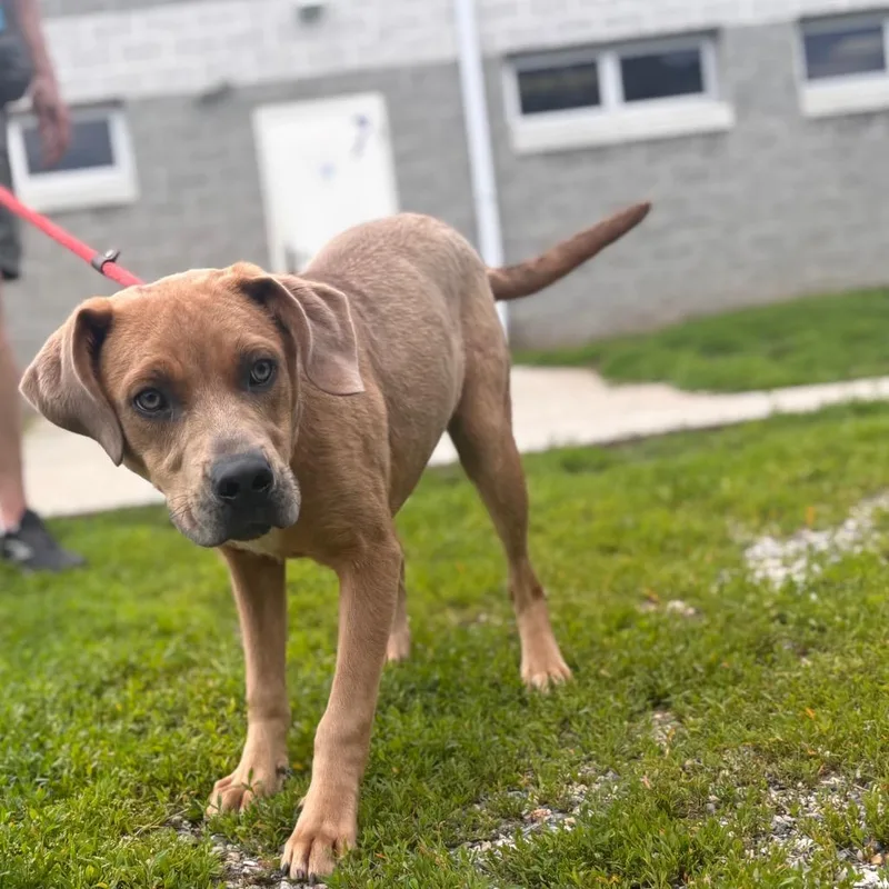 Cosmo thumbnail 6