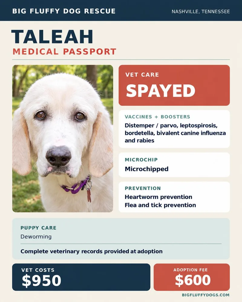 Taleah thumbnail 3