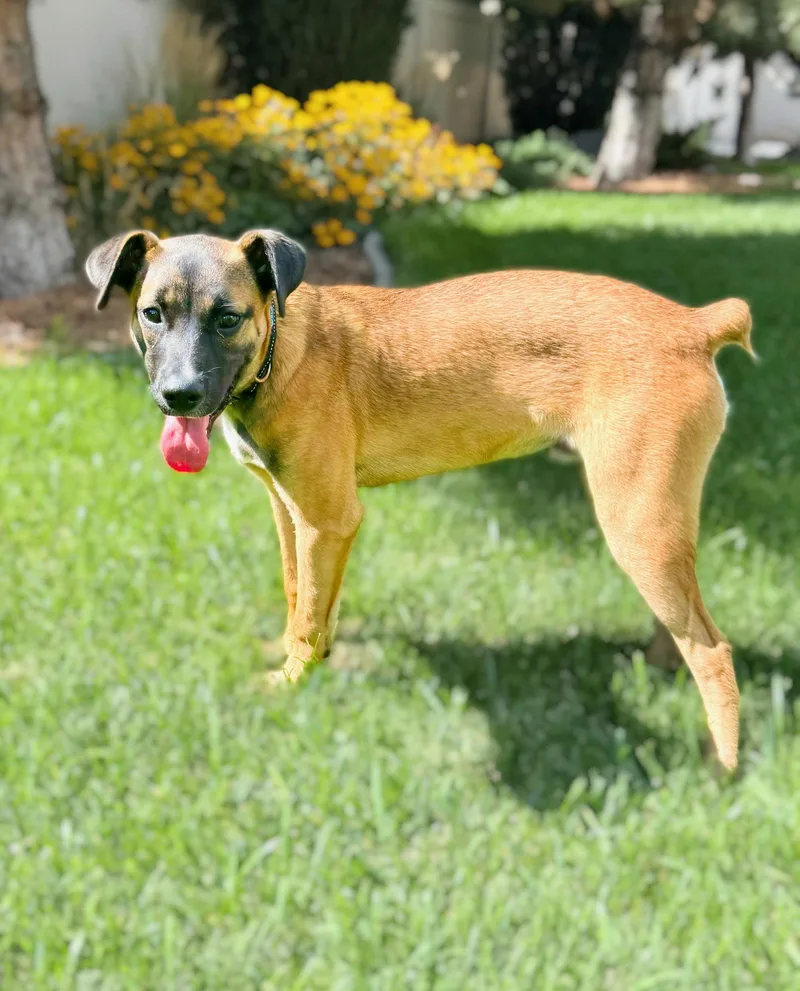 River Roo thumbnail 2