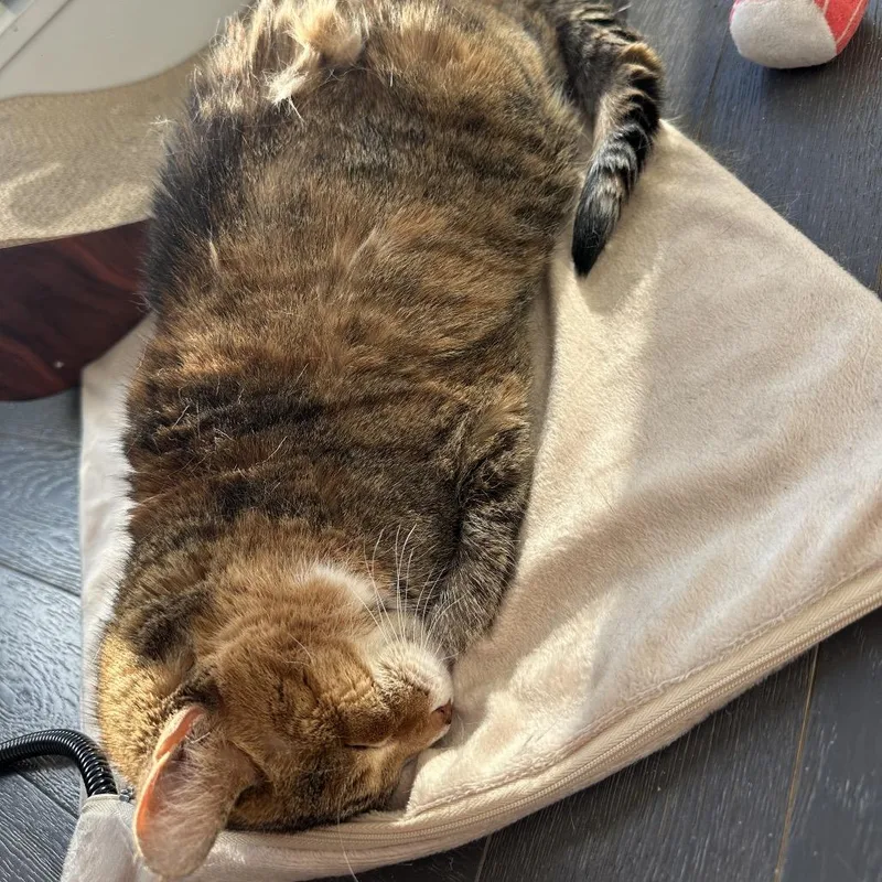 Patty Cake thumbnail 4