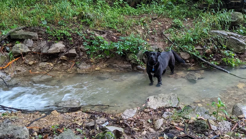 Margaret thumbnail 2