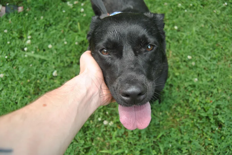 Margaret thumbnail 3