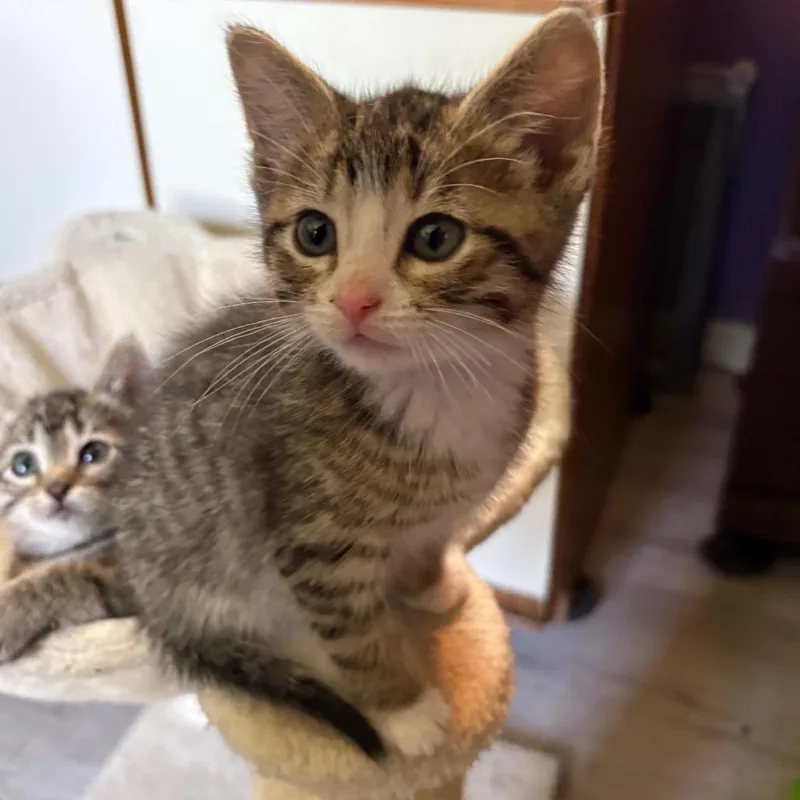 Gus Gus thumbnail 3