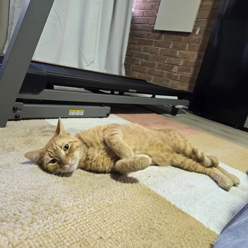 Oscar thumbnail 2
