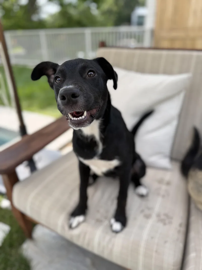 Daisy Mae thumbnail 2