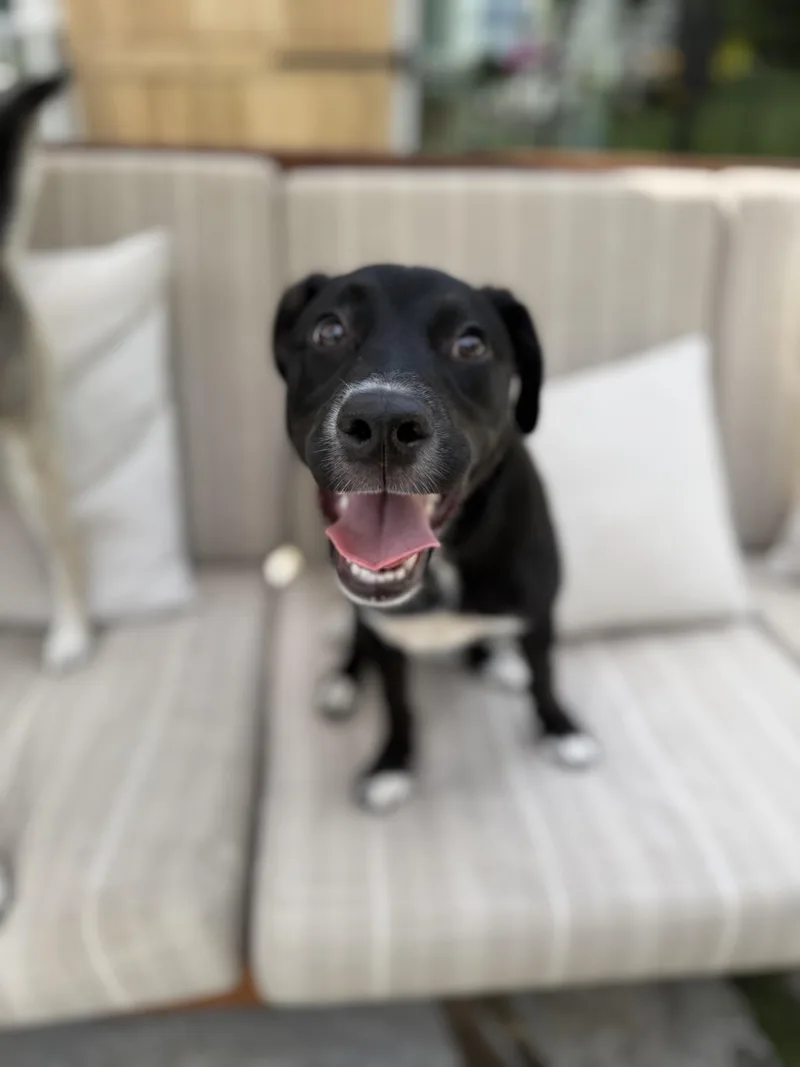 Daisy Mae thumbnail 4