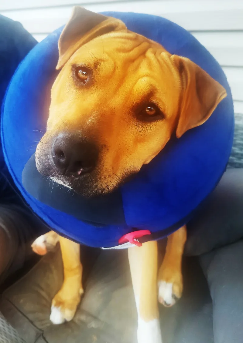 Yennifer thumbnail 2