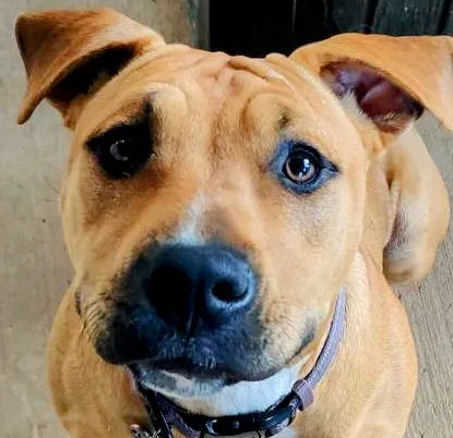 Yennifer thumbnail 3