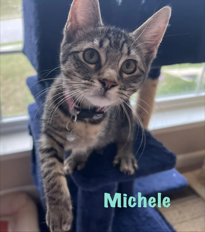 Michele thumbnail 4