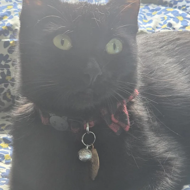 Luna With Freya