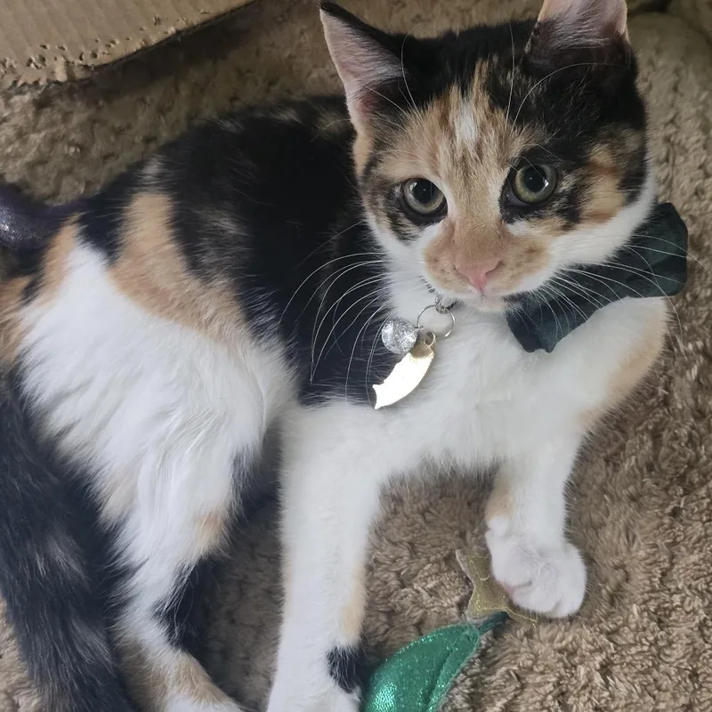 Luna With Freya thumbnail 3