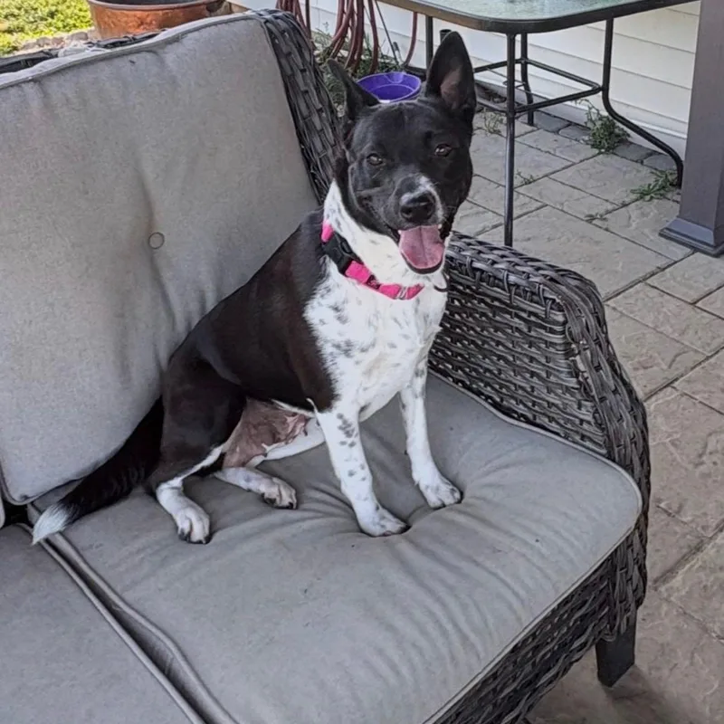 Charlee Girl thumbnail 3