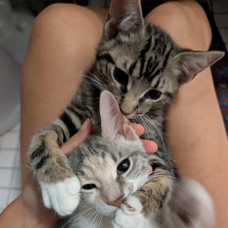 Amazon thumbnail 4