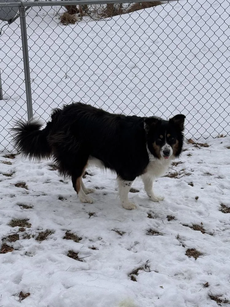 Sassy Pants thumbnail 2