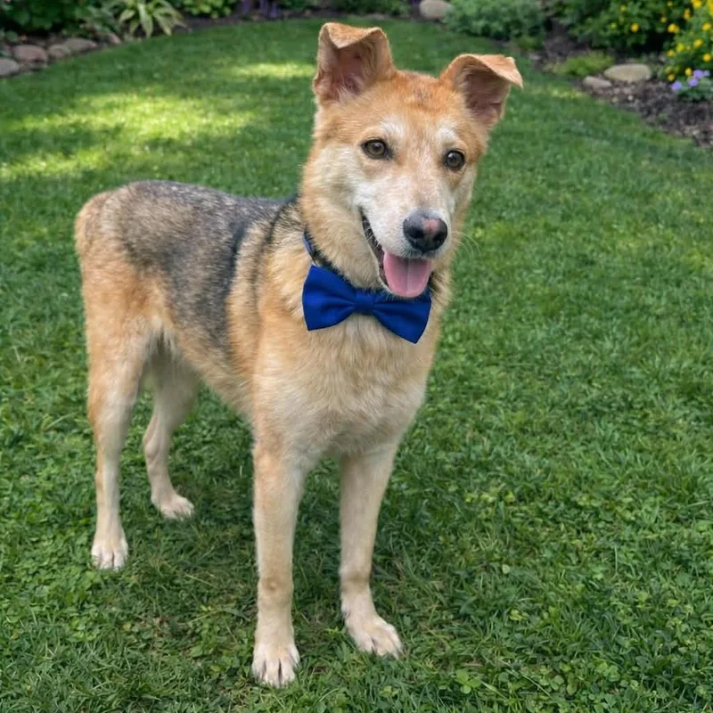 Locki Gs thumbnail 2