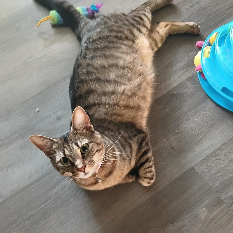 Mama June thumbnail 2