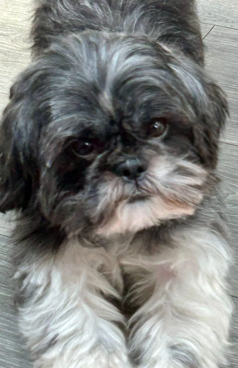 Roxie