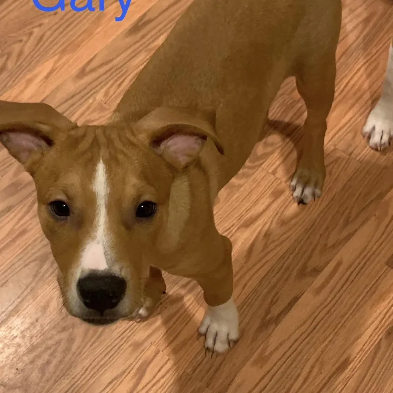 Gary thumbnail 2