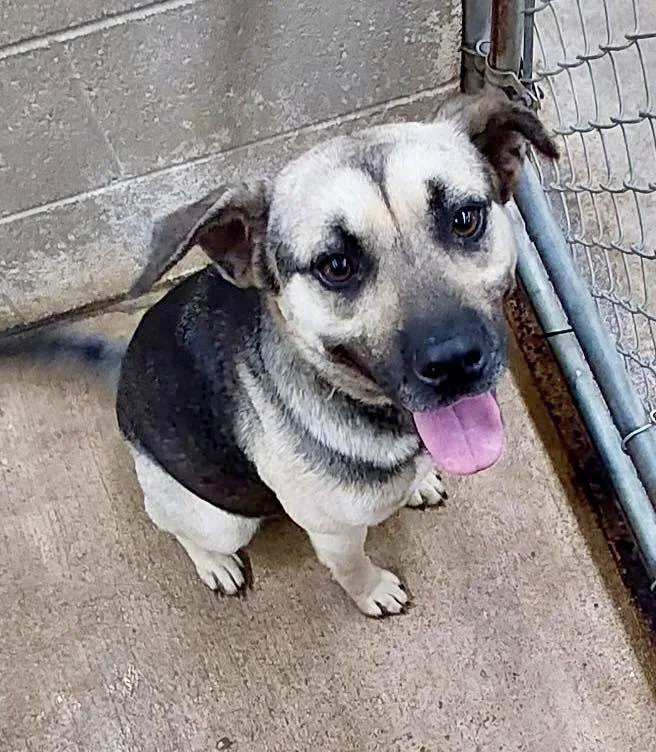 Ivanna  Ac  thumbnail 2