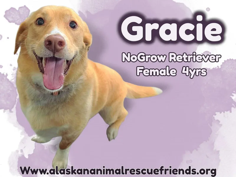 Gracie