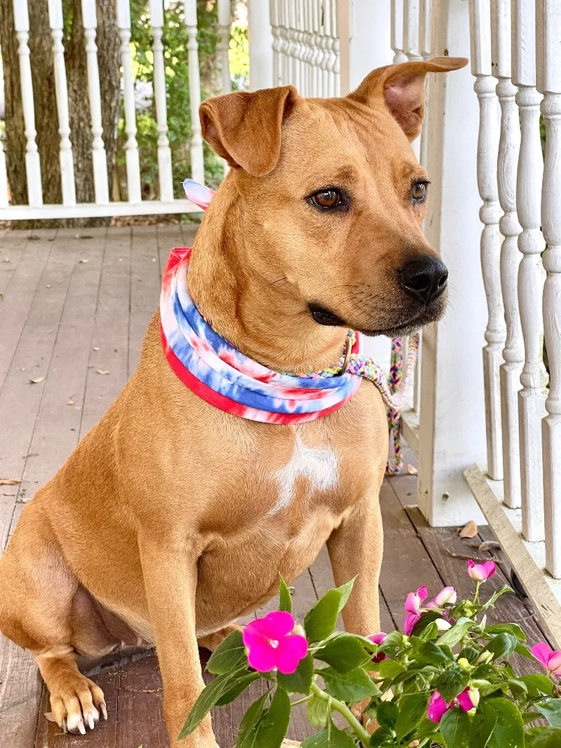 Penny A Sweetheart! thumbnail 5