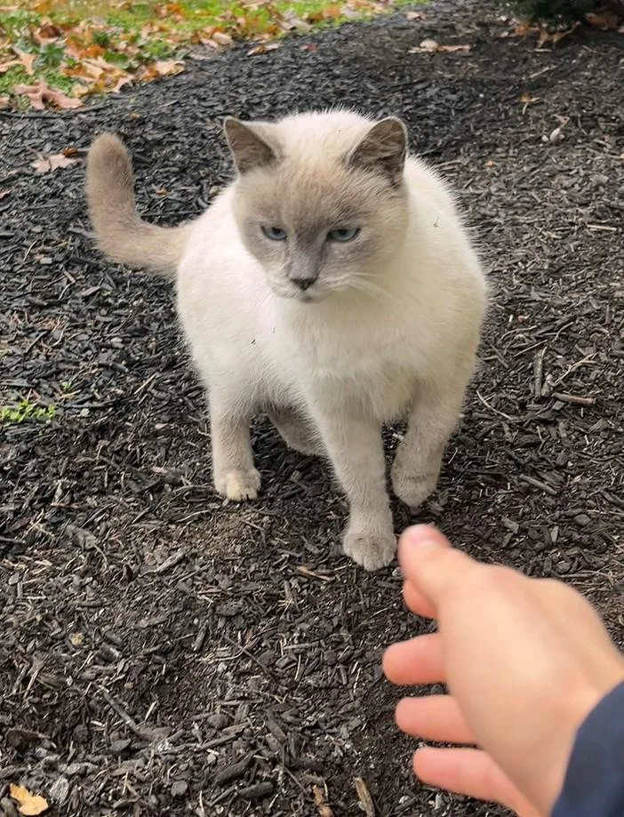 Meredith thumbnail 2