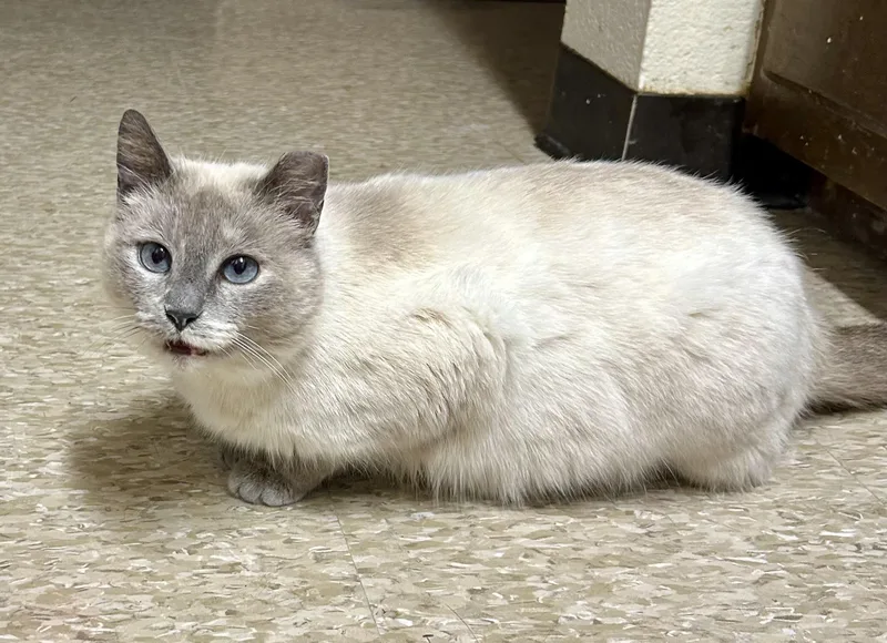 Meredith thumbnail 3