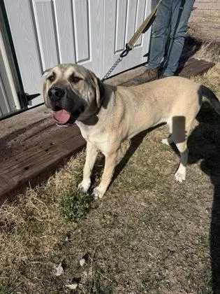 Marco