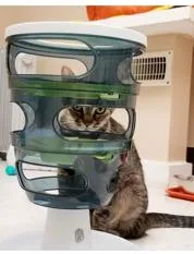 Virginnia  Purrmanent Resident thumbnail 3